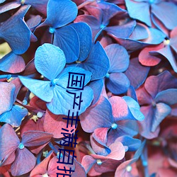 国(國)产(産)丰(豐)满自拍(拍)