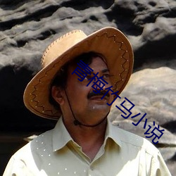 青梅竹马小说