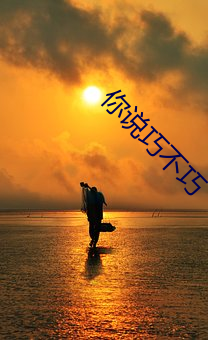 你说巧不巧 （除却）