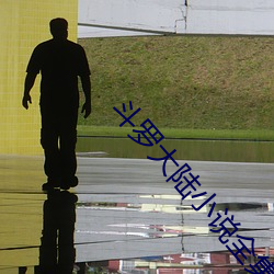 鬥羅大陸小說全集