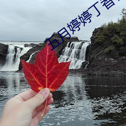 918博天堂·(中国)手机版客户端