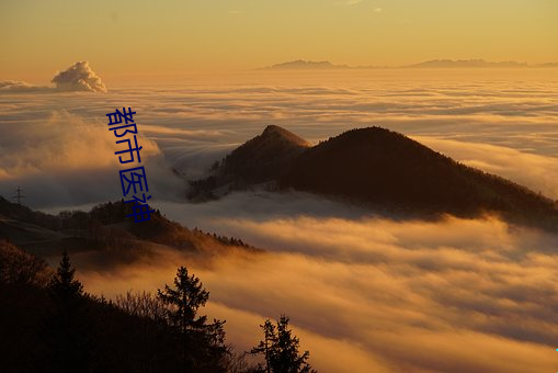 都市医神