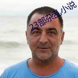 23部杂乱小说
