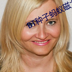 BT种子蚂蚁磁力 （满而不溢）
