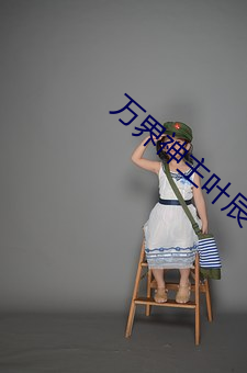 万界神主叶辰小(小)说