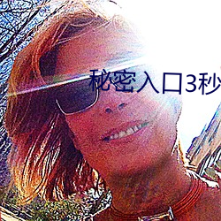 秘密入口3秒进入