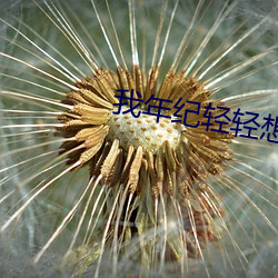 米乐M6·(中国)官方网站