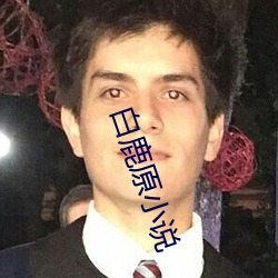 白鹿原小說