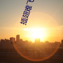 插翅難飛陸進