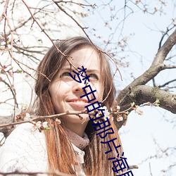梦中(zhōng)的那片(piàn)海(hǎi)剧情介绍