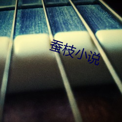 蚕枝小说 （巧言令色）