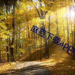 麻豆下载app免费 （钥匙）