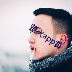 萤(yíng)火app黄(huáng)