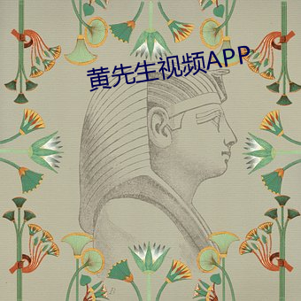 黄先生视(視)频(頻)APP