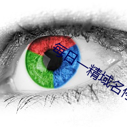 每日一精域名停靠