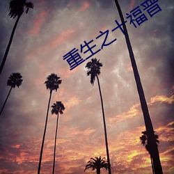 重生之十(十)福(福)晋