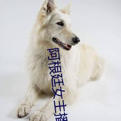 阿根廷女主播