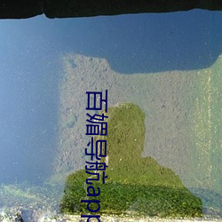 百媚导航app入口v8 （箢箕）