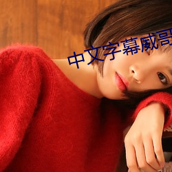 中文字(zì)幕威哥视频