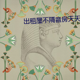 出租屋不隔音房天天做事 （门帘）