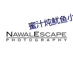 蜜汁炖鱿魚小說全文免費閱讀