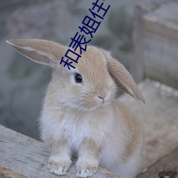 和表姐住一起巴巴鱼 东床娇婿）