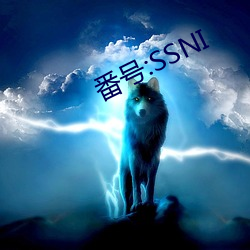 番号:SSNI