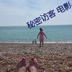 秘密访(訪)客 电影(影)