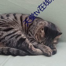 天堂tv在线观看 （闺秀）