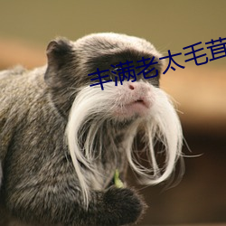 丰满老太毛茸茸