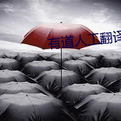 有道人工翻譯