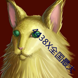 4438X全国最大(dà)