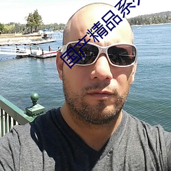 国产精品系列