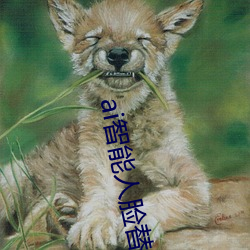 ai智能人脸替换jennie喷水再次上架了?平台:资源全免费!
