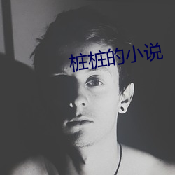 樁樁的小說