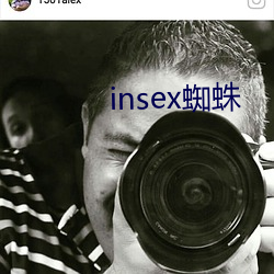 insex蜘蛛