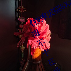 《拔擦拔擦8X海外永久华人免费》高清不卡在线观看 （不痴不聋）