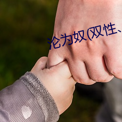 BG大游(中国)唯一官方网站