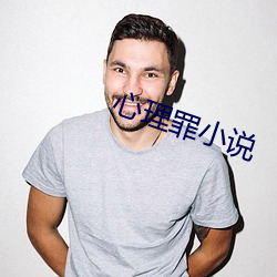 心理罪小說