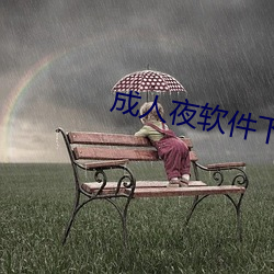 成人夜软件下载 （逐名趋势）