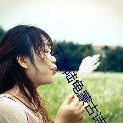 丁香陆龟(guī)蒙古诗