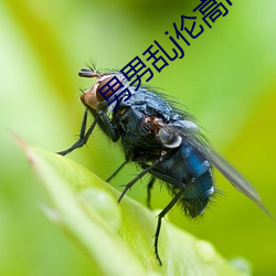 男男乱j伦高hh小说