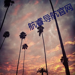 航睿导航官网 （梧鼠五技）