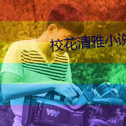 校花清雅小说 （励兵秣马）