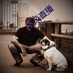 趣(趣)风(風)直(直)播