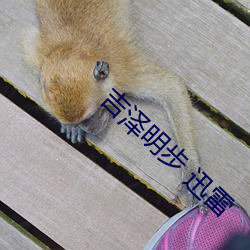 米乐M6·(中国)官方网站