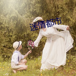 迷(迷)情(情)都市(市)