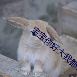 宝宝你好大我都握不住了 沿革）