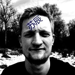 苏(蘇)辰