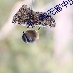 幹一炮無套中出嫩模內射小